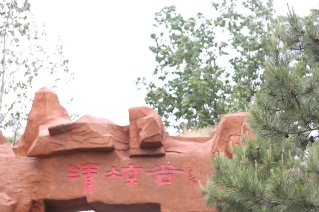 立足當“夏”，覓清涼 